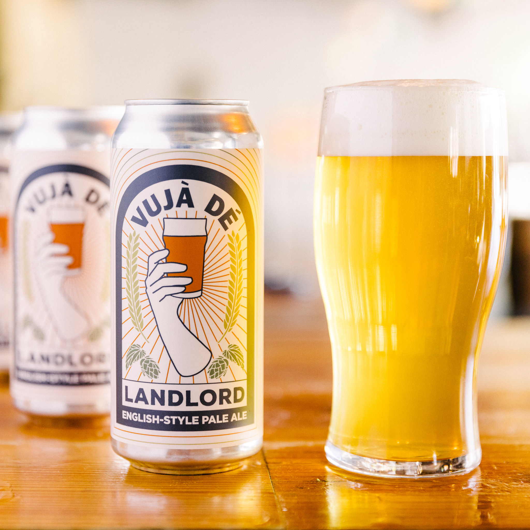 Vujà Dé: Landlord