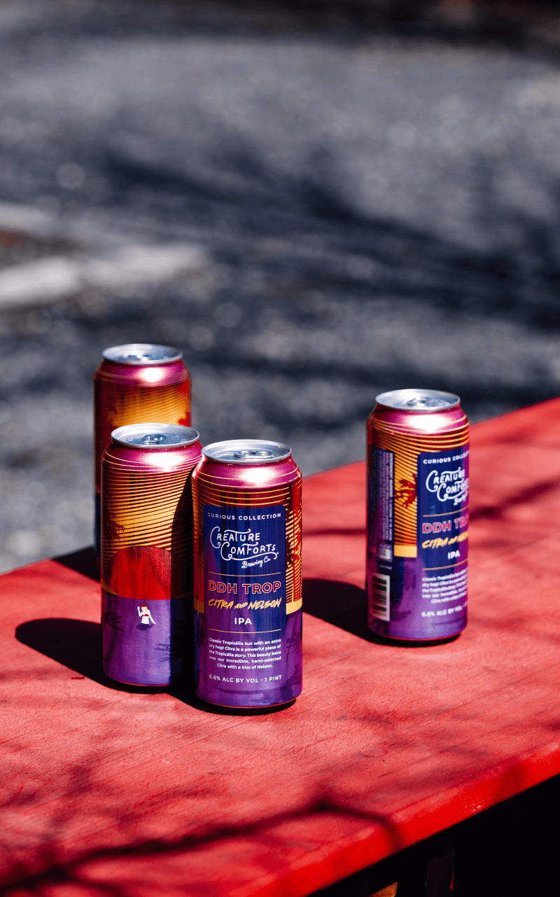 DDH Tropicália – Citra & Nelson