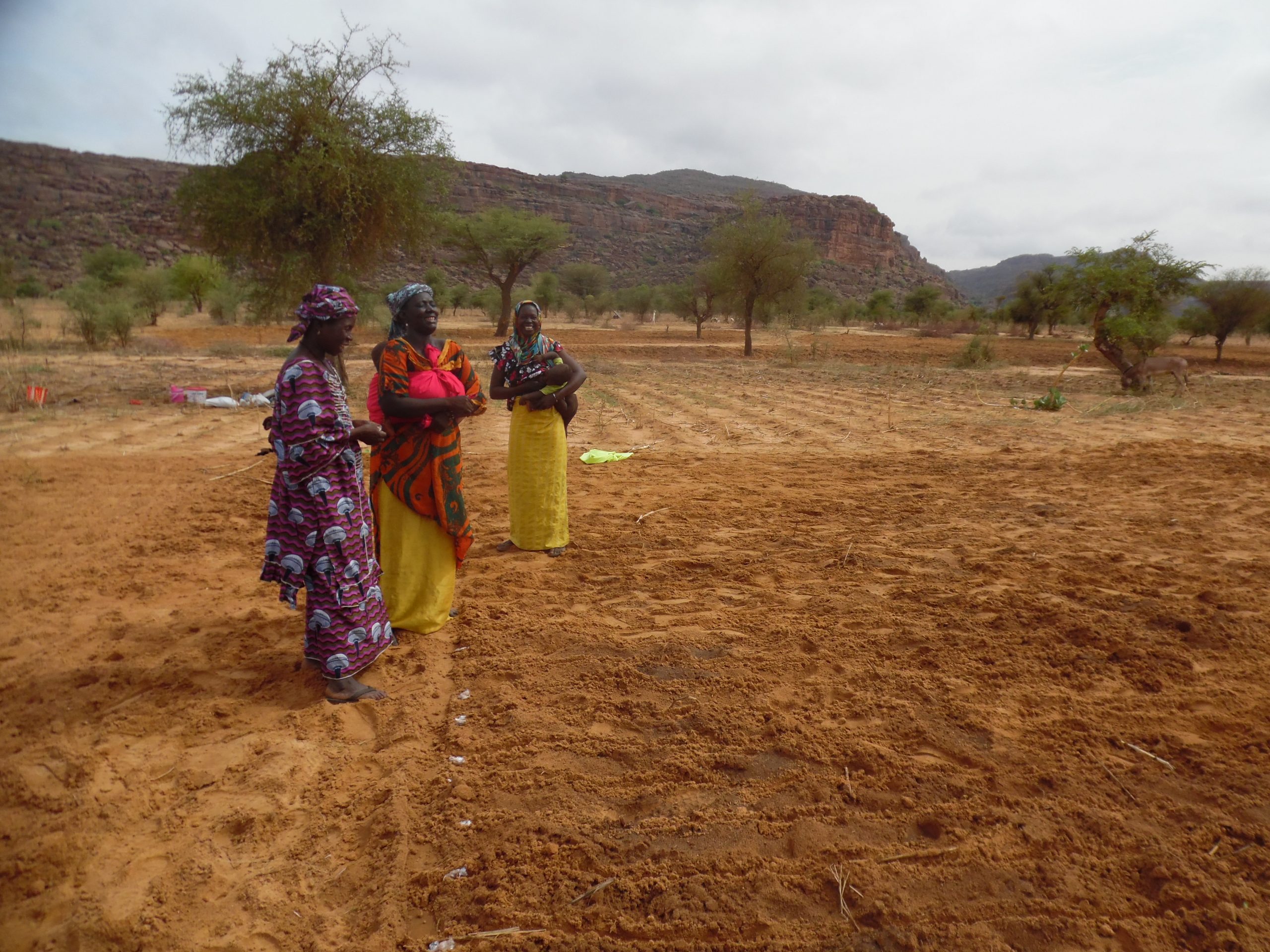 women farmers in field