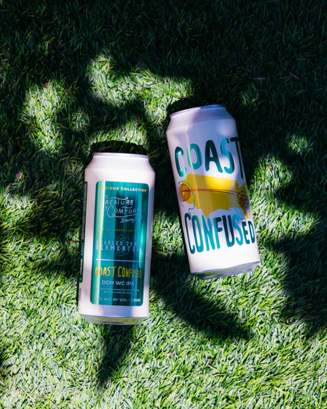 Coast Confused