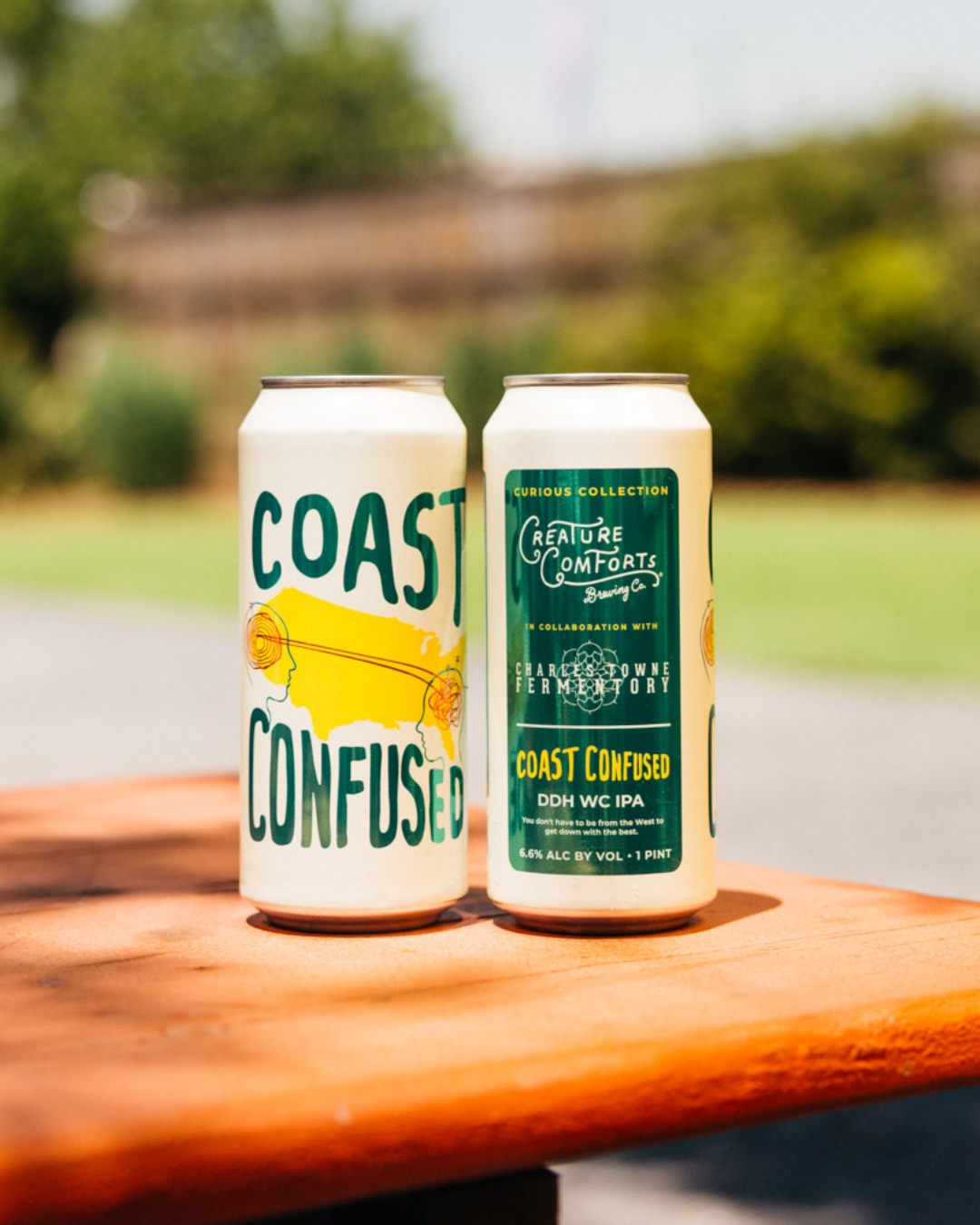 Coast Confused